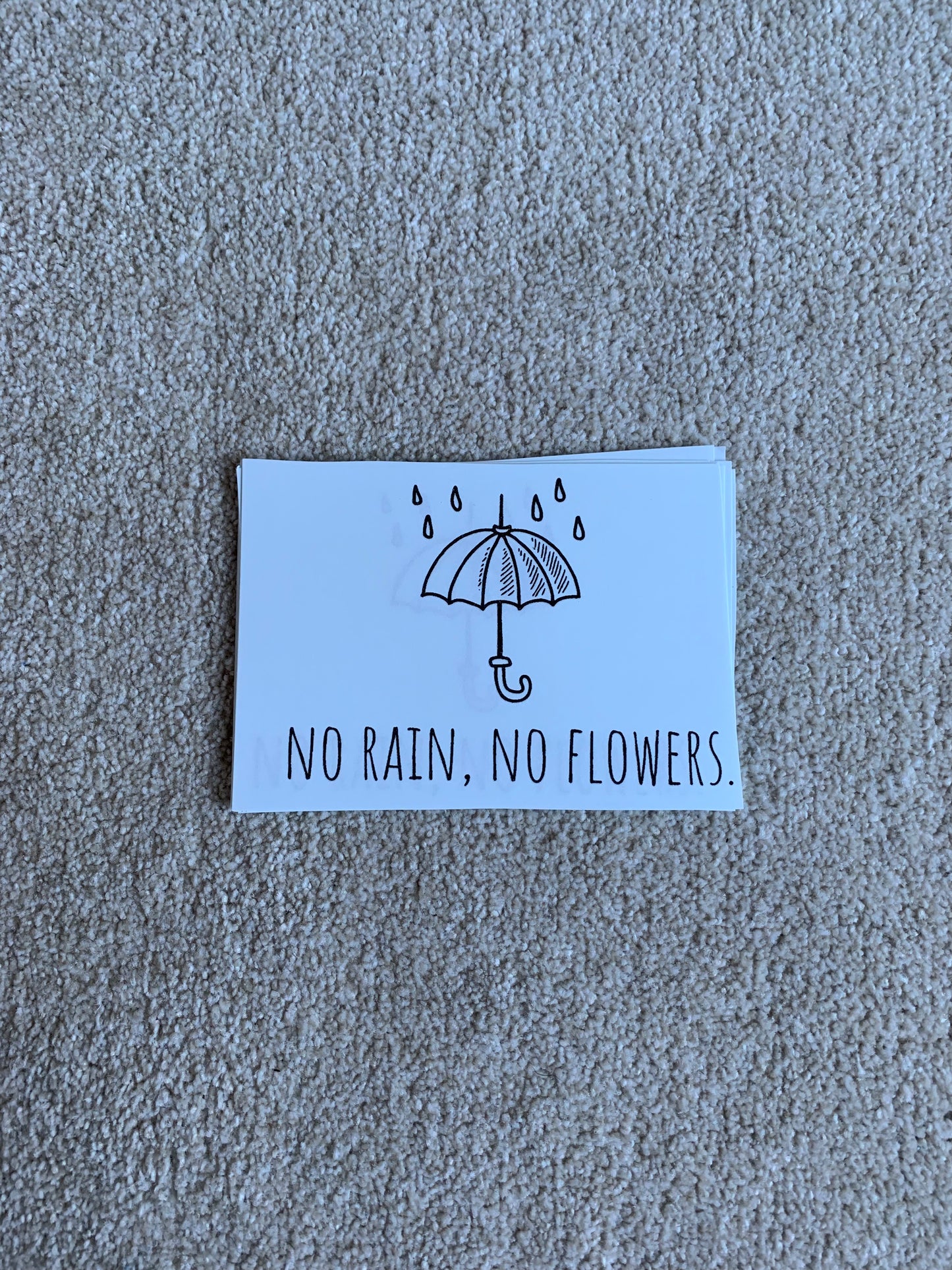 No Rain, No Flowers Transfer