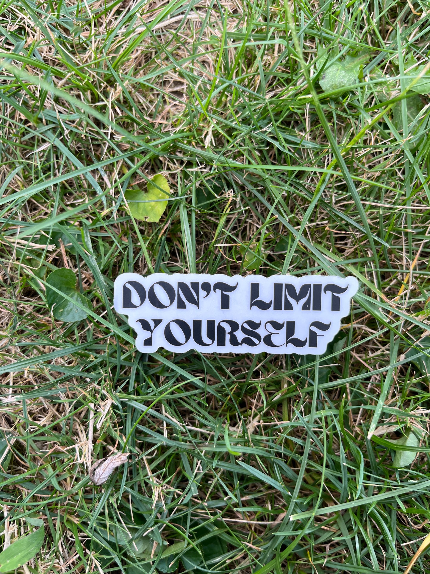 Don’t Limit Yourself